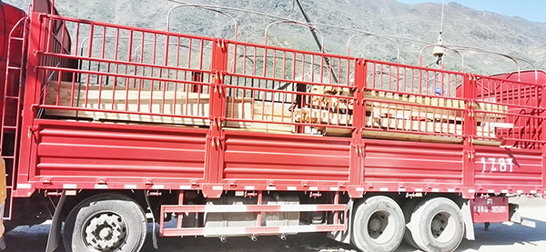 建筑木方到達(dá)永善縣卸車場(chǎng)景圖